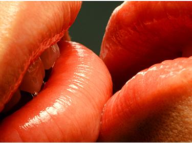 Sin querer... te quiero